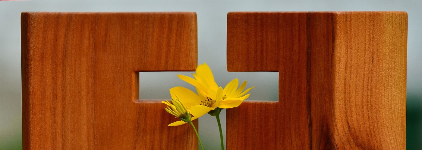 Blume im Kreuz