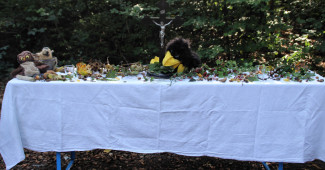 Altar im Berglwald